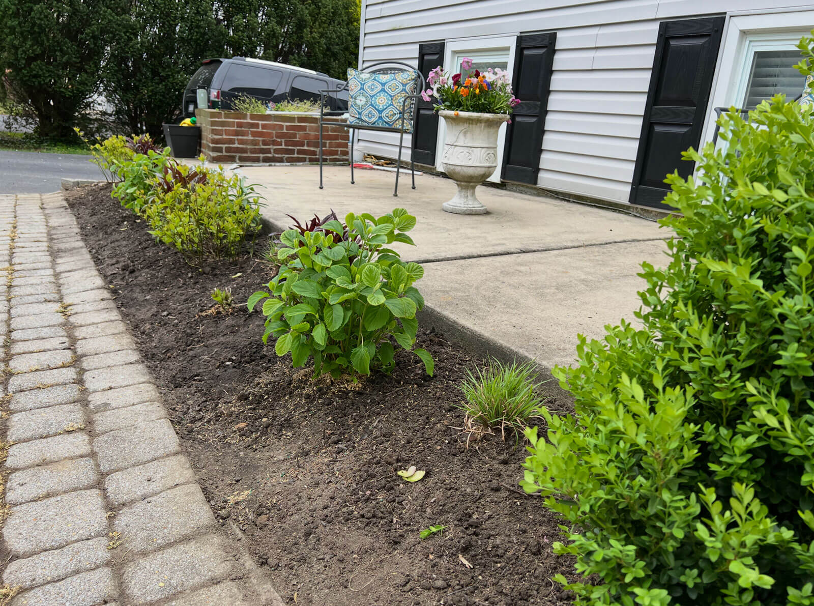 Aston, PA - native plantings added Aston, PA - native plantings added