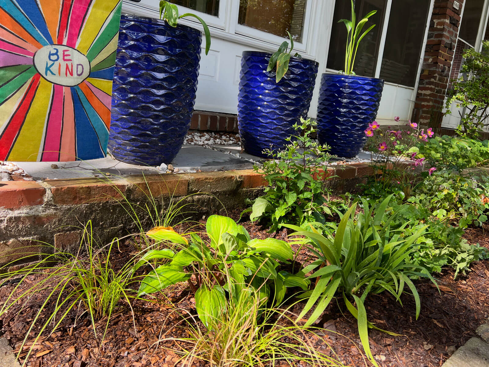 A Baynard Village garden with native plantings A Baynard Village garden with native plantings