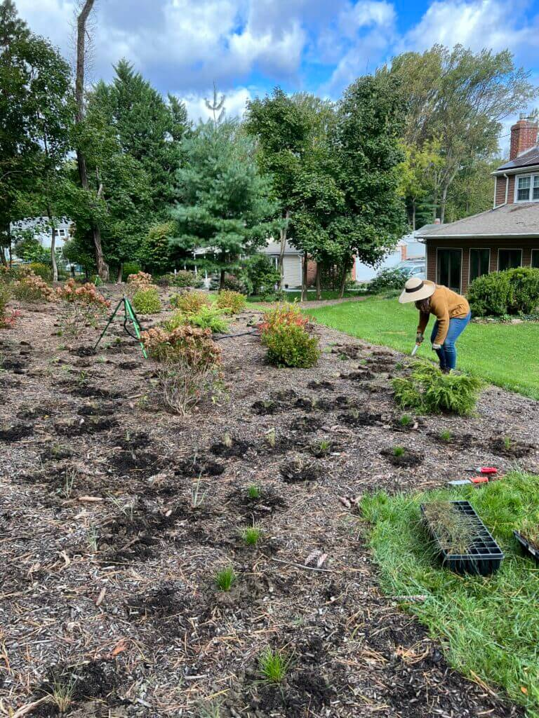 Garden Installation and Maintenance Services