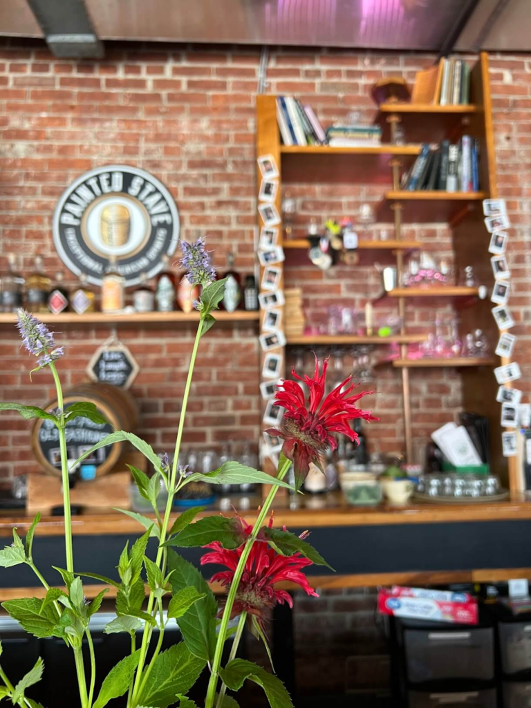 Pollinator Week at Painted Stave - example plants