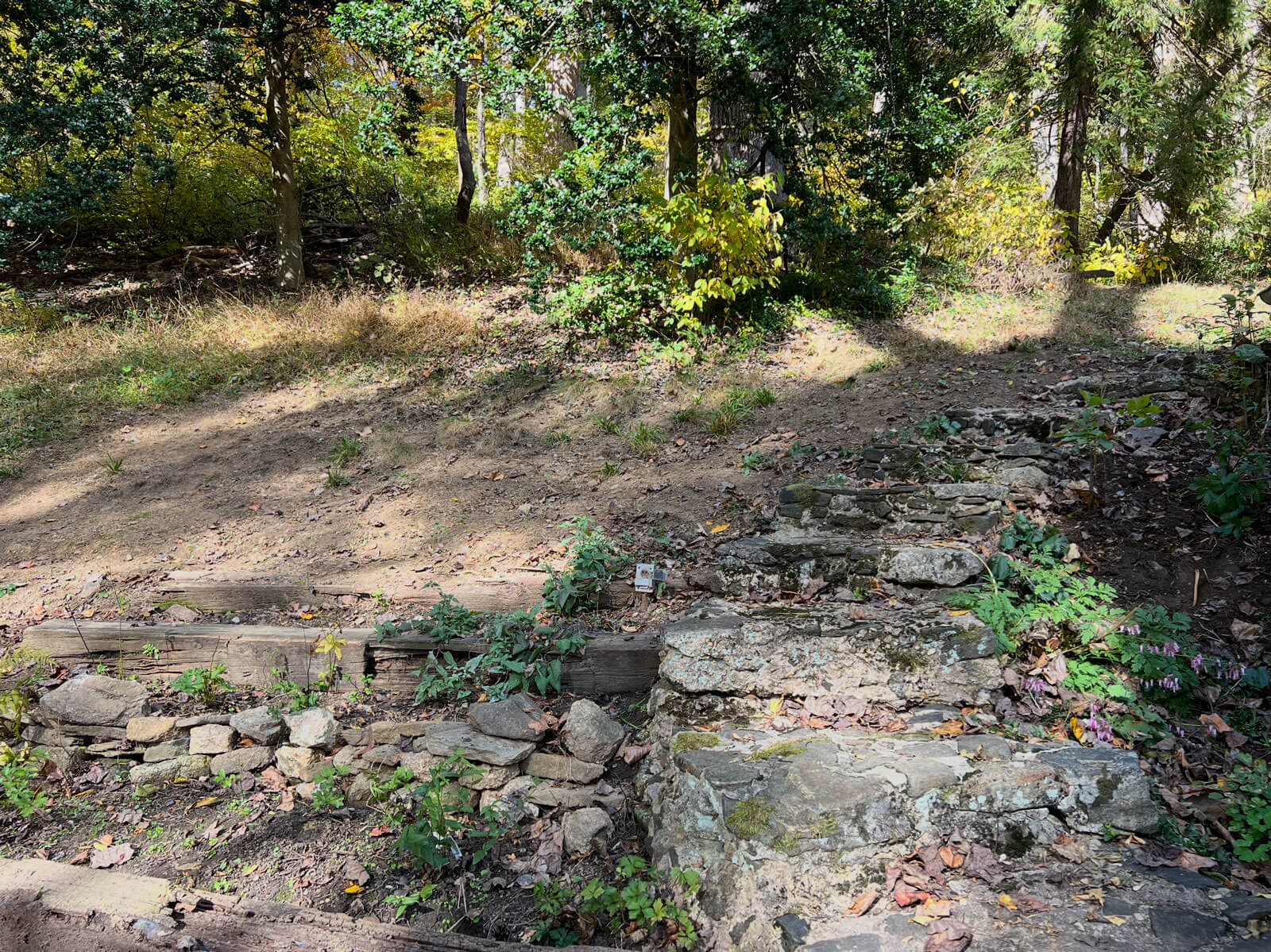 Prep progress for a Yorklyn, DE garden Prep progress for a Yorklyn, DE garden